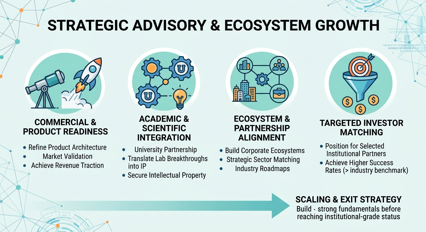 Strategic Advisory Beyond Traditional Venture Capital for Scale-Ups and Research Spin-Outs Oman